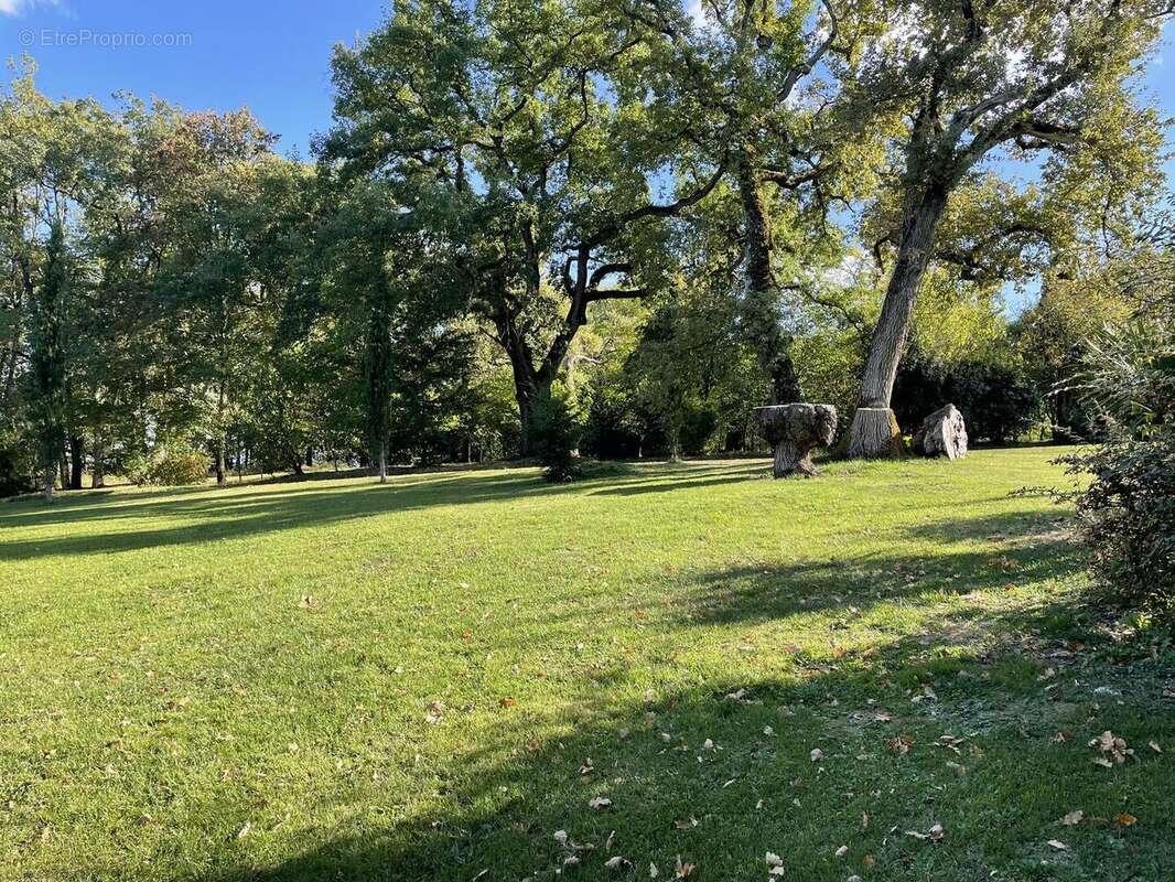 IMG5301 - Maison à VIC-FEZENSAC