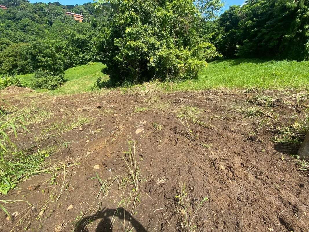 Terrain - 706 m² - le vauclin - photo 2