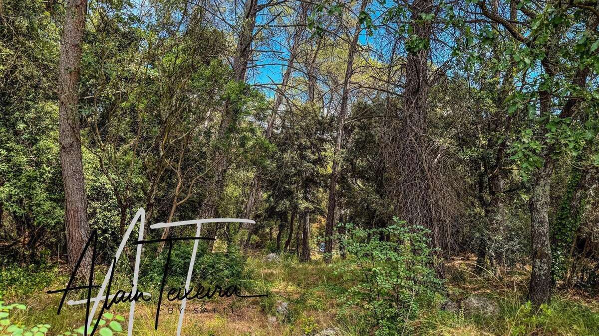 Photo 5 - Terrain à LORGUES