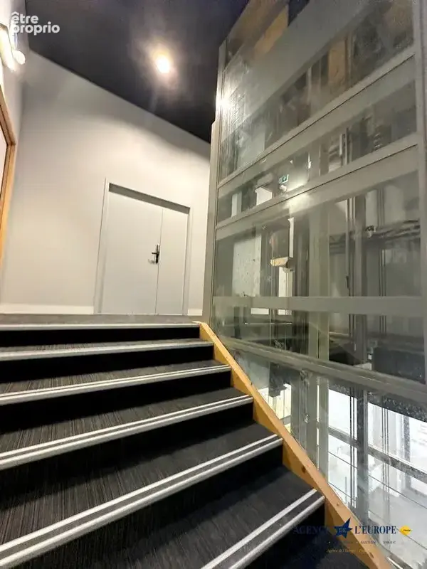 Appartement 246 m² à Vichy  - photo 4