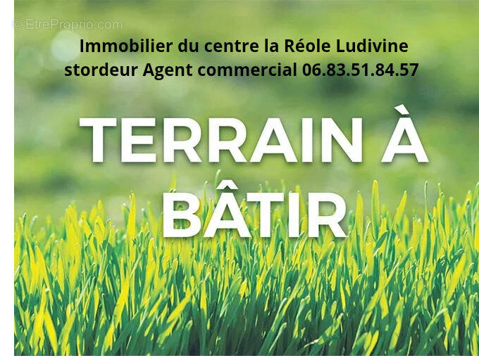 Terrain à LA REOLE