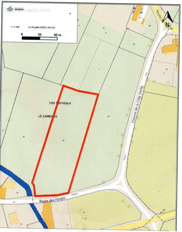Exclusivité — Rare  : Superbe terrain de 7 460 m² - photo 2