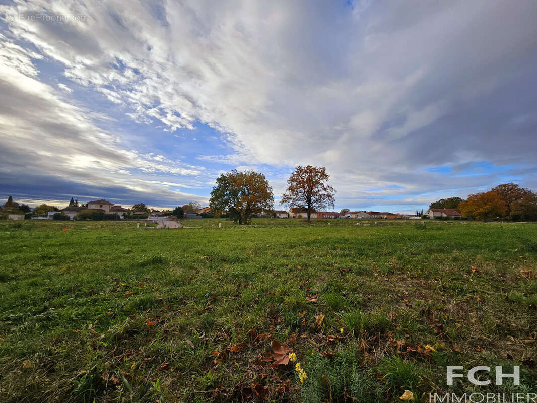 Terrain à BELLERIVE-SUR-ALLIER