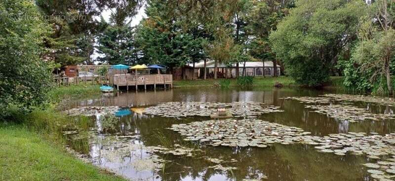 Terrain à TALMONT-SAINT-HILAIRE