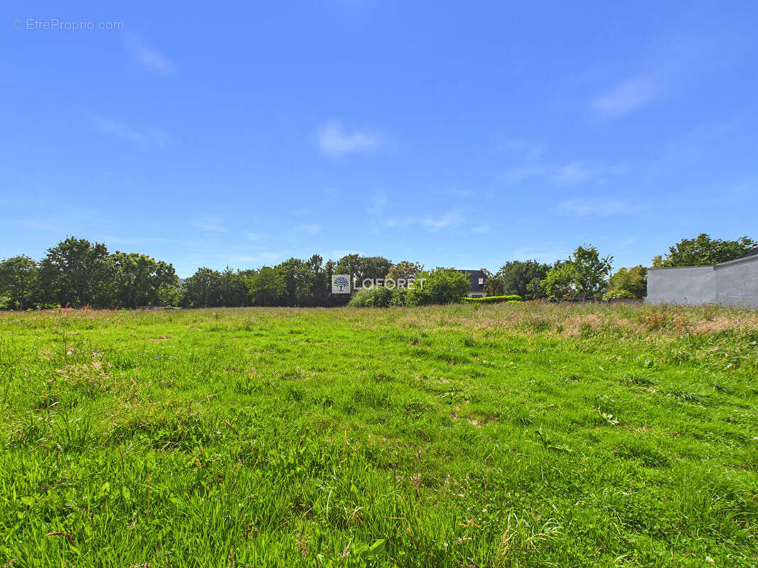 Terrain à DINEAULT