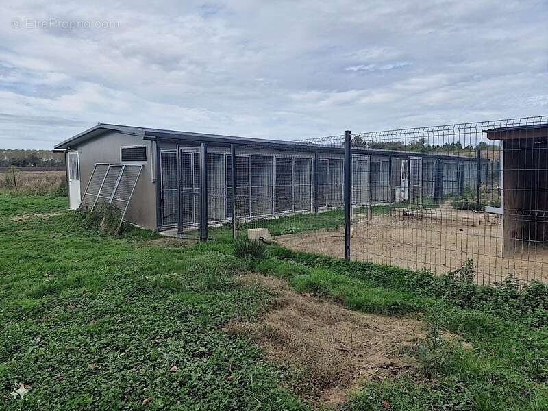 Maison 137m2 + dépendances + élevage canin sur 5,7 ha de terrain proche de aire sur l'adour (40) - photo 17