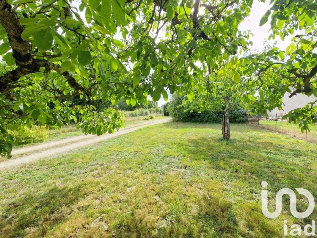 Photo 6 - Maison à DAMPIERRE-EN-BURLY