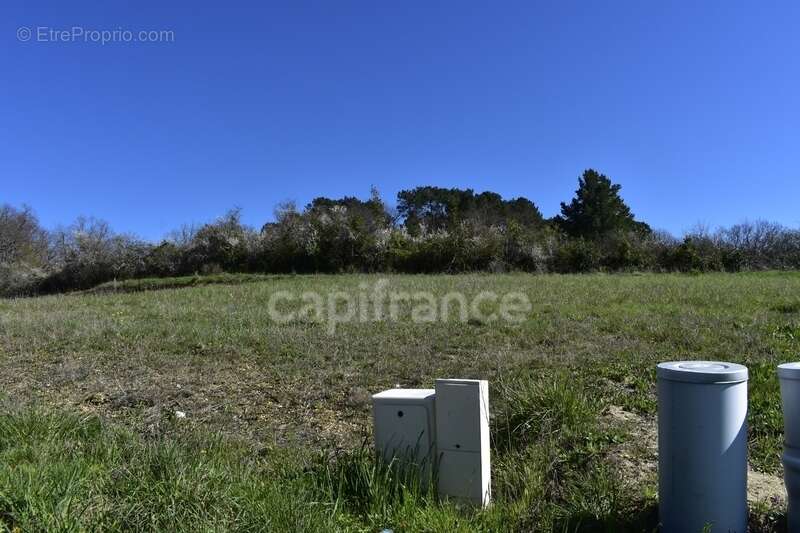 Terrain 1 000 m² à CURSAN (33) - photo 2