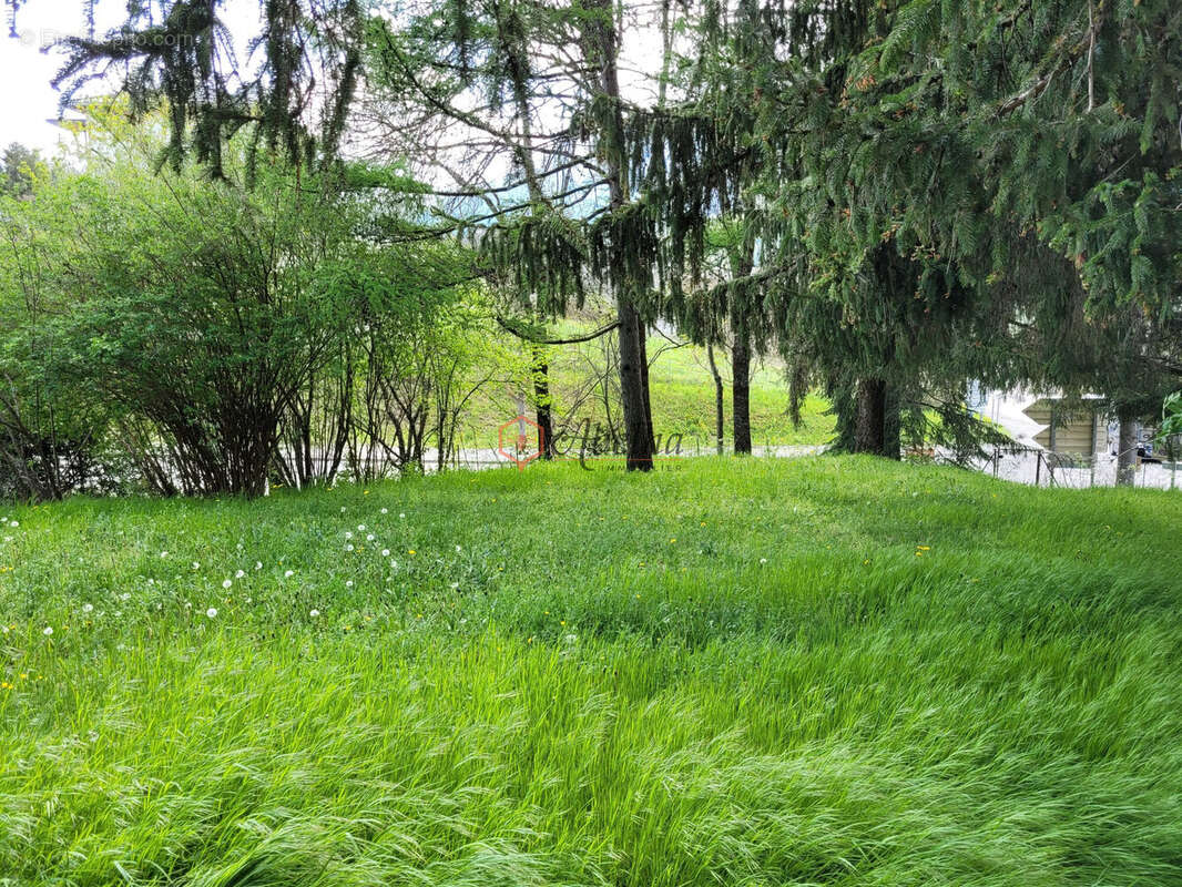 Terrain à SAINT-BONNET-EN-CHAMPSAUR
