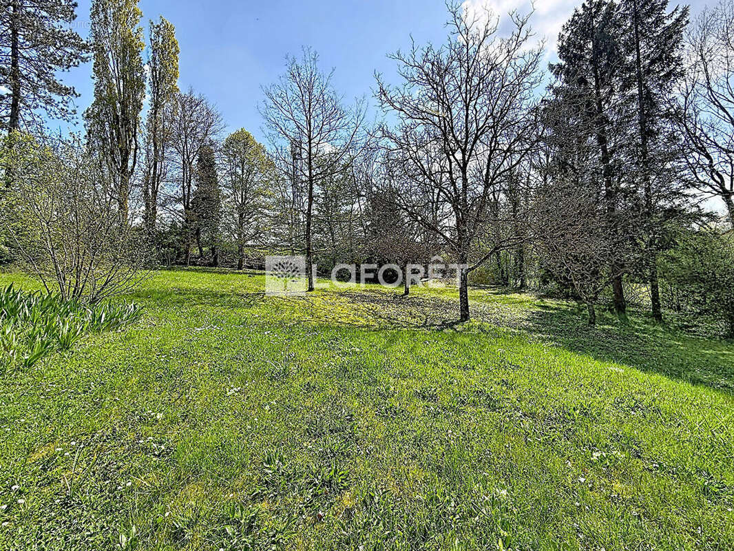 Maison Neufchateau 8 pièce(s) 167.96 m2 - photo 13