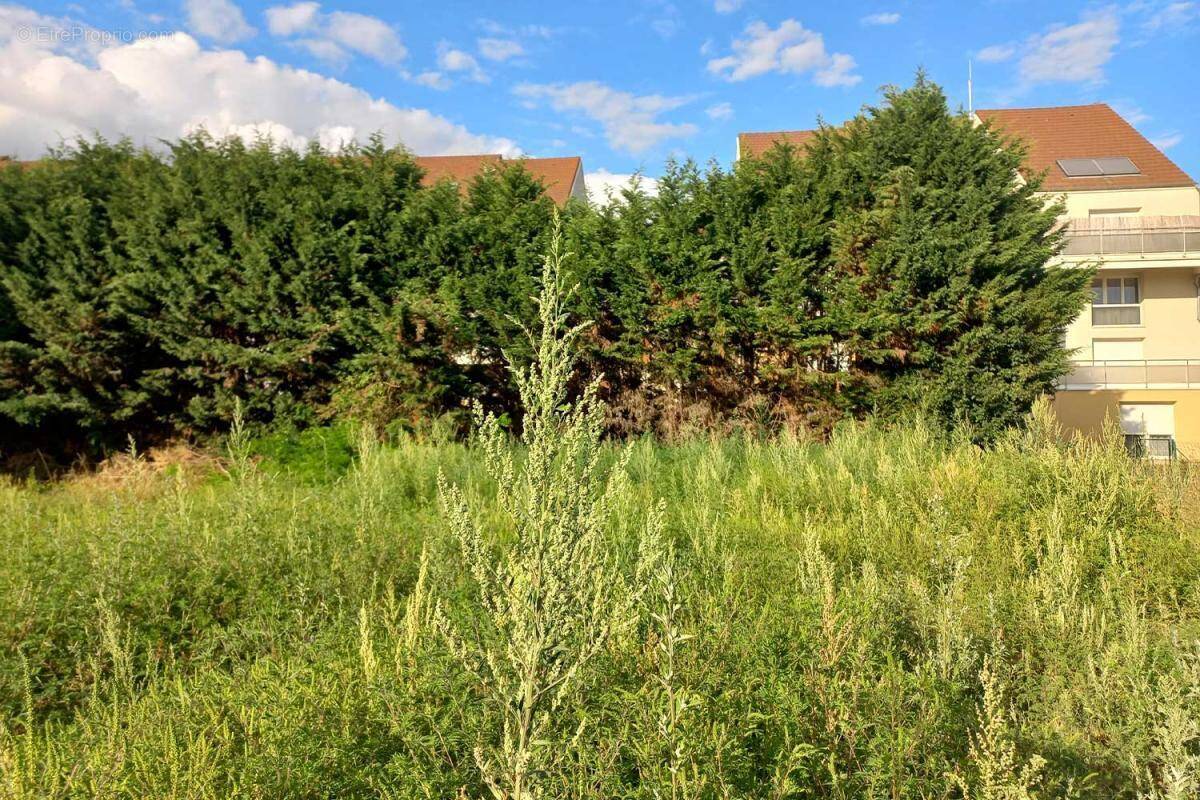 Terrain à SAINT-REMY