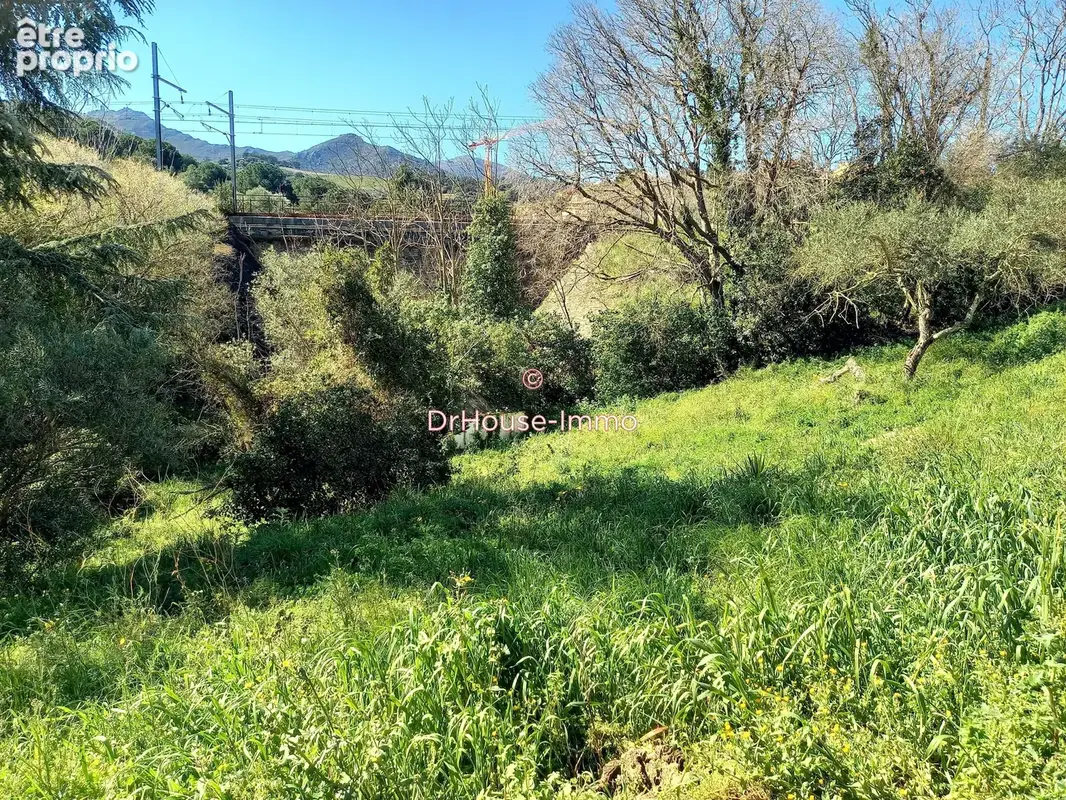 Terrain 1 555 m² à vendre à Collioure (66190) - photo 29