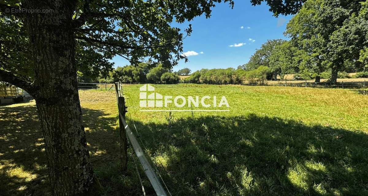 Maison dans écrin de verdure ! - photo 10