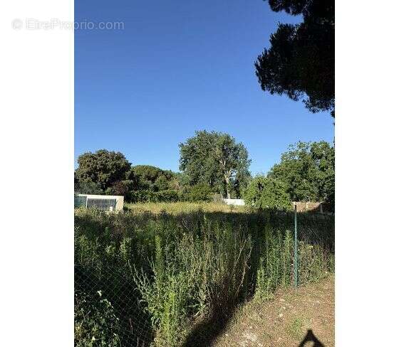 Terrain 1700 m² à Royan  - photo 3