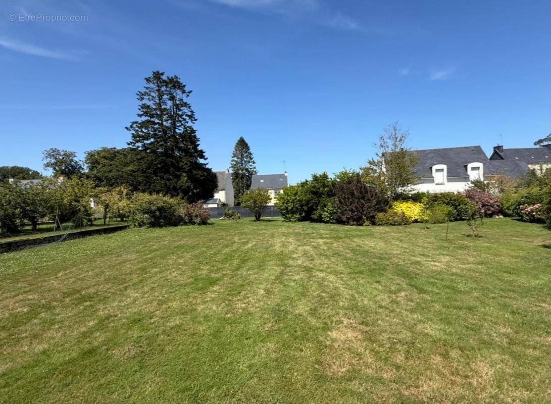 Terrain à QUESTEMBERT