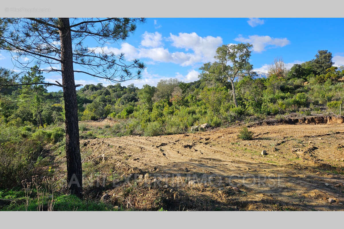 Terrain à SARI-SOLENZARA