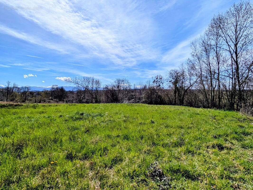 Terrain à SOUMOULOU