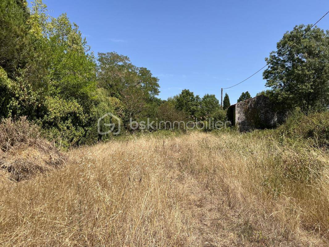 Terrain à NIORT