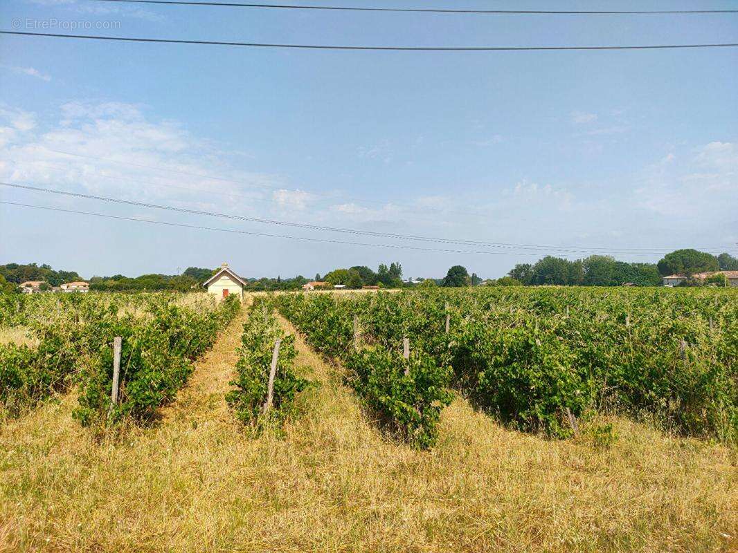 Terrain à SAINTE-EULALIE