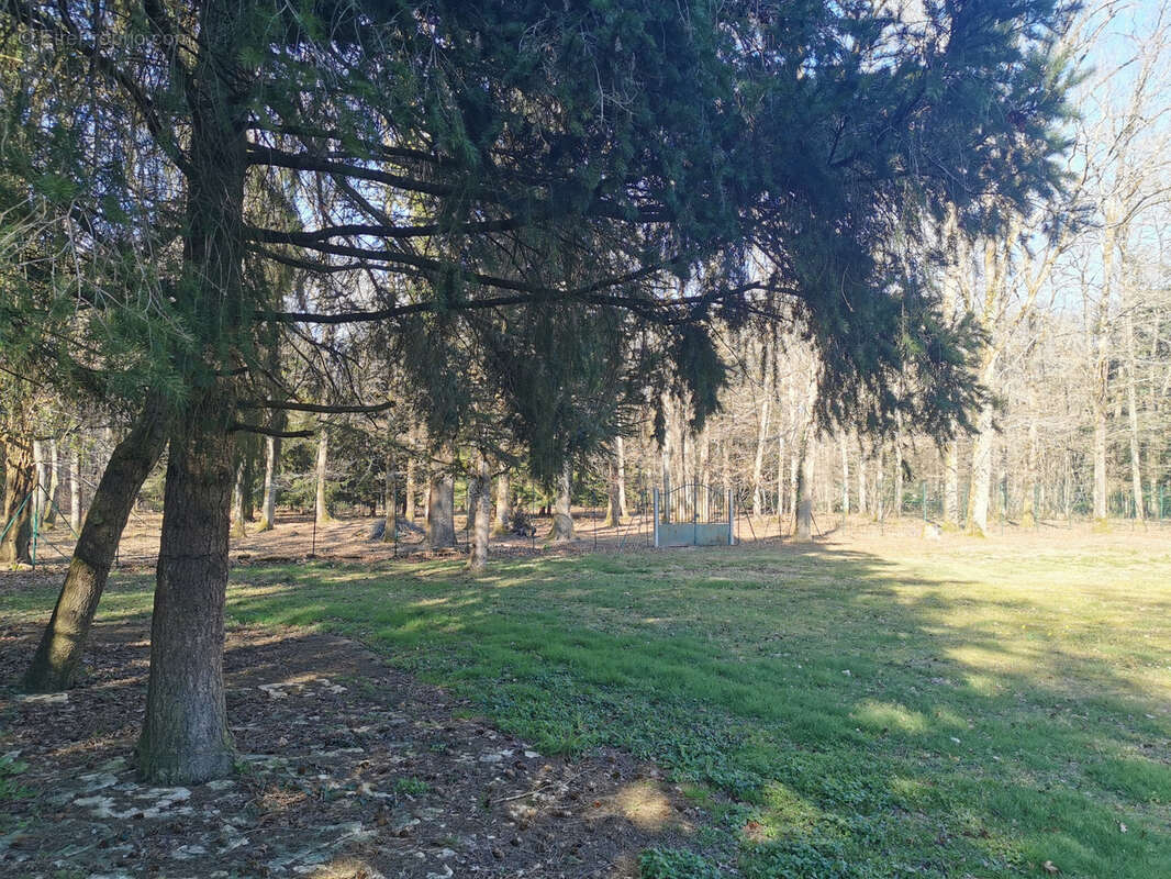 Maison à PRUNIERS-EN-SOLOGNE