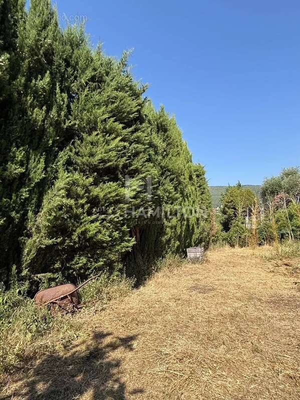 Maison à CHATEAUNEUF-GRASSE