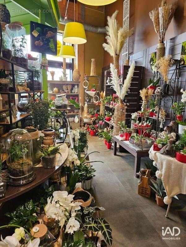 Photo 4 - Commerce à CARHAIX-PLOUGUER