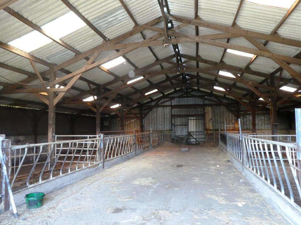 Exploitation agricole - photo 24