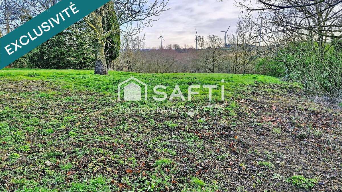 Photo 4 - Terrain à AVIGNONET-LAURAGAIS