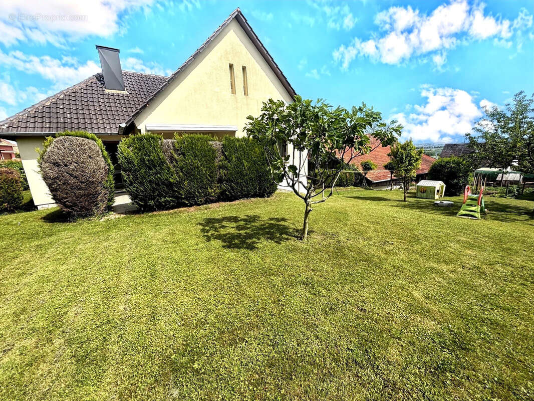 Vente maison viager occupe - homme de 80 ans maison plain pied (durningen) dans le kochersberg - photo 9