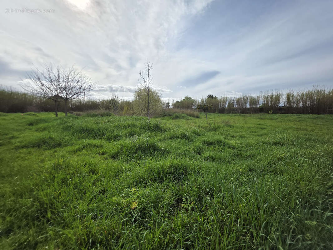 Terrain à VILLELONGUE-DE-LA-SALANQUE