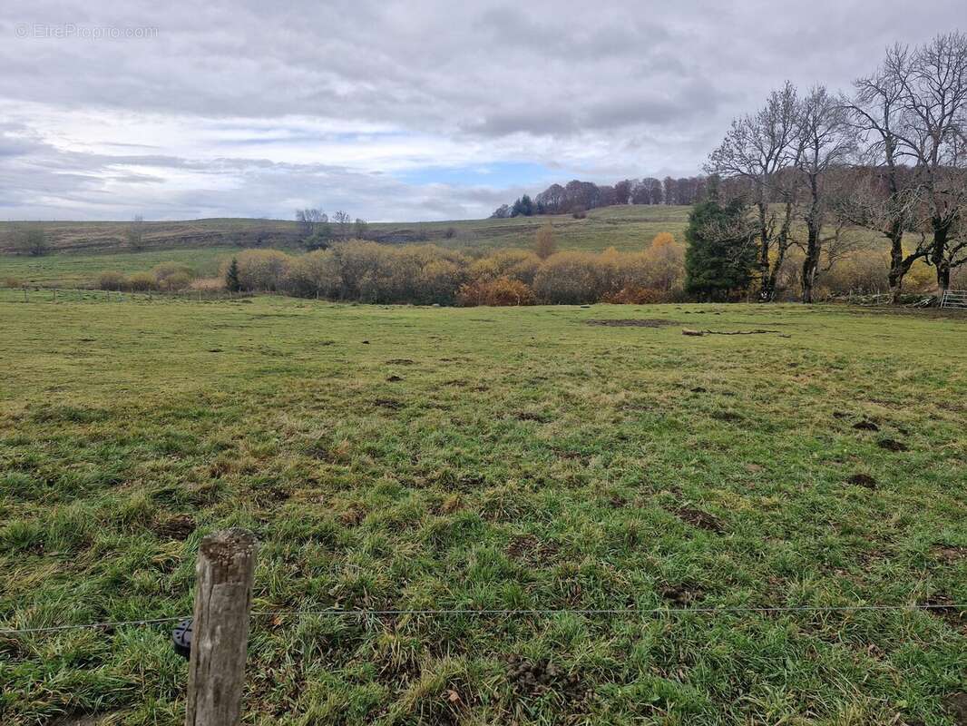 Terrain à PICHERANDE