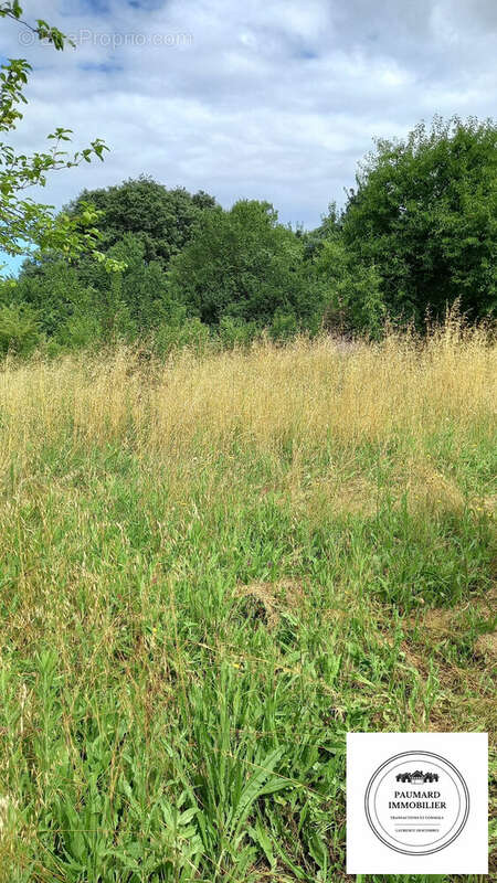 Terrain à ROMANS-SUR-ISERE