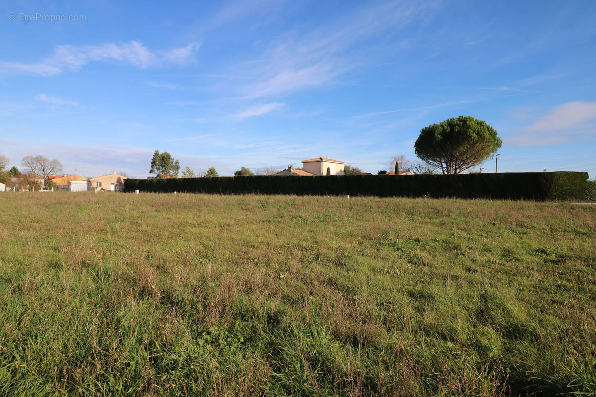Terrain à PORT-D'ENVAUX