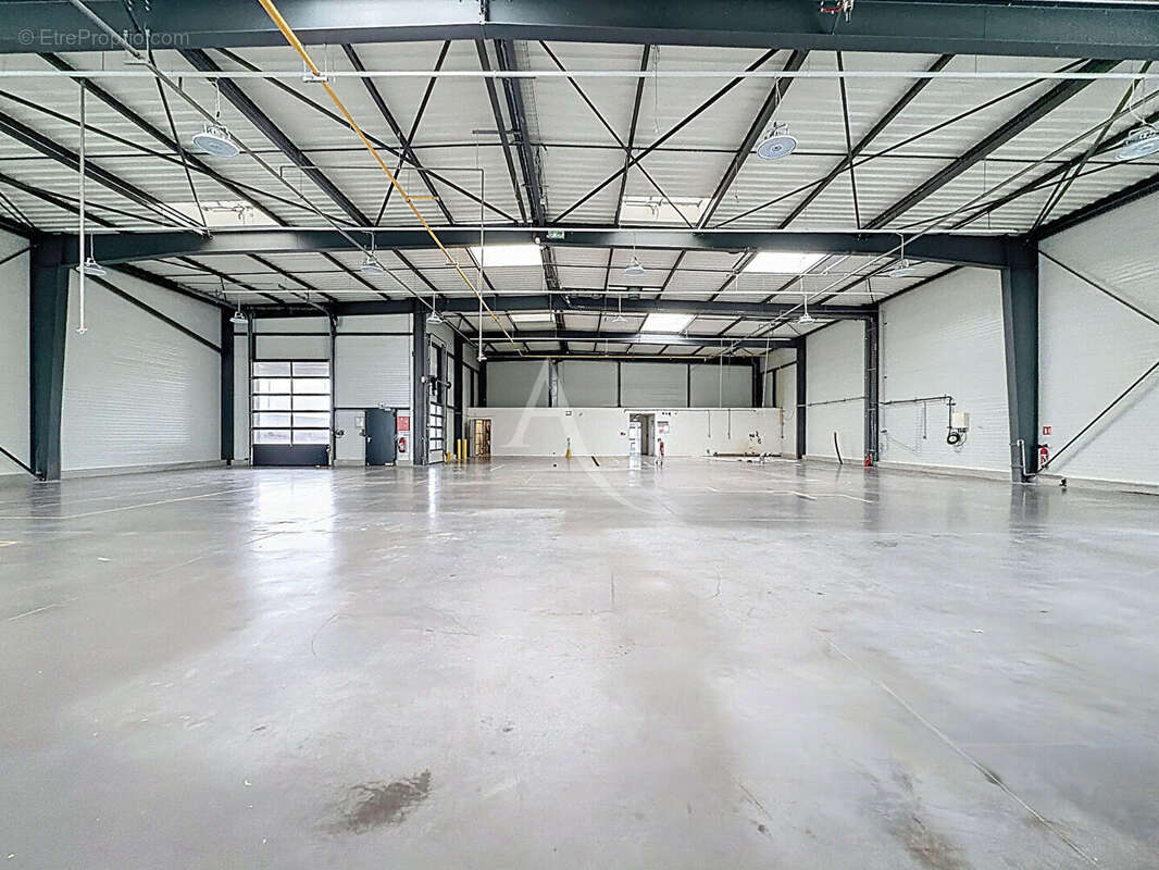 Commerce à BRISSAC-QUINCE