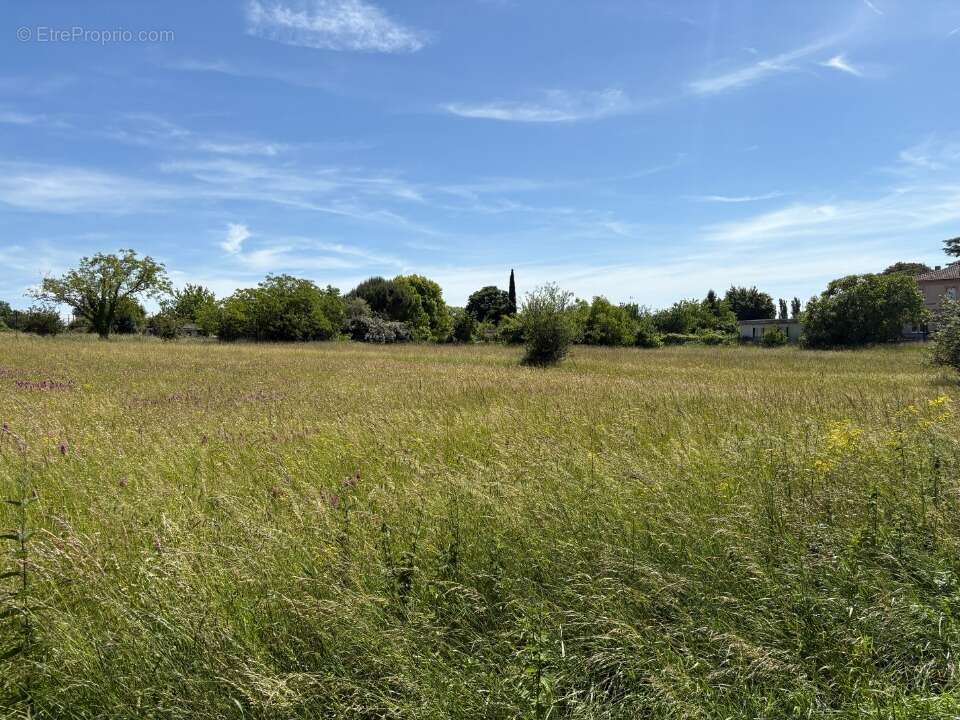 Terrain à MONTPITOL