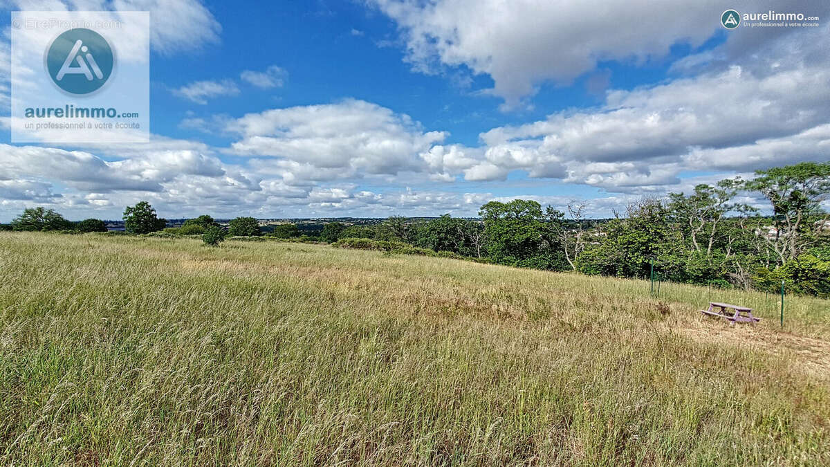 zone agricole - Terrain à NERIS-LES-BAINS