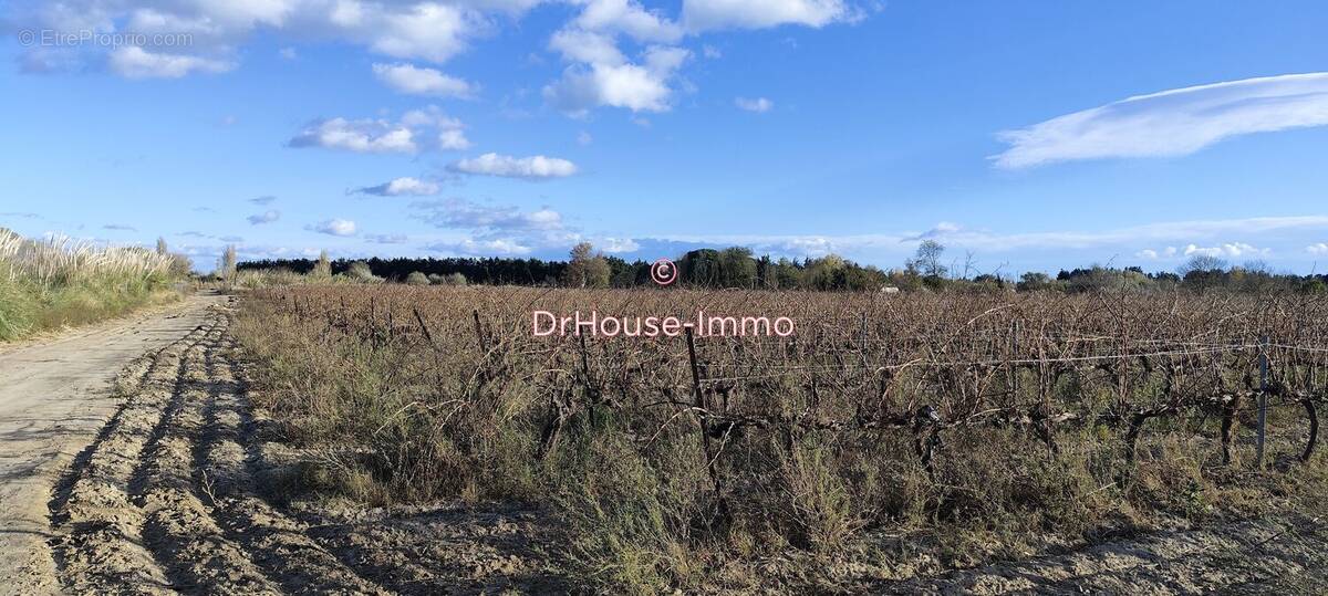 Terrain à TORREILLES