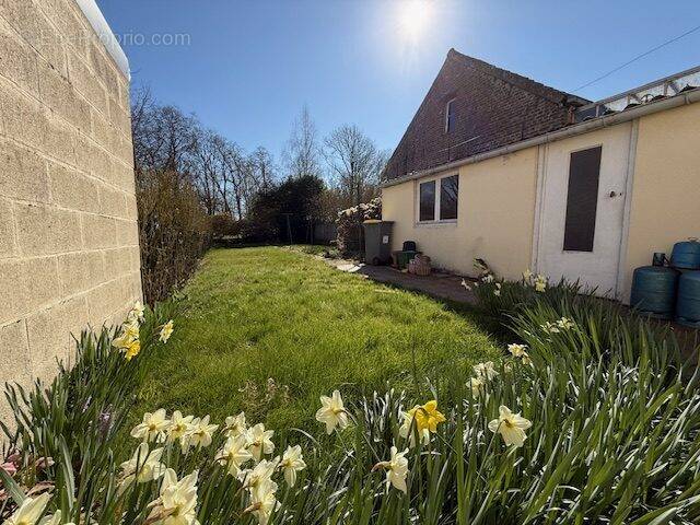 Maison à FRELINGHIEN