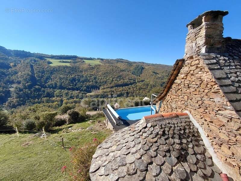 Maison à VIEILLEVIE