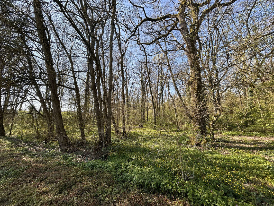 Maison à SAINT-BRANCHS