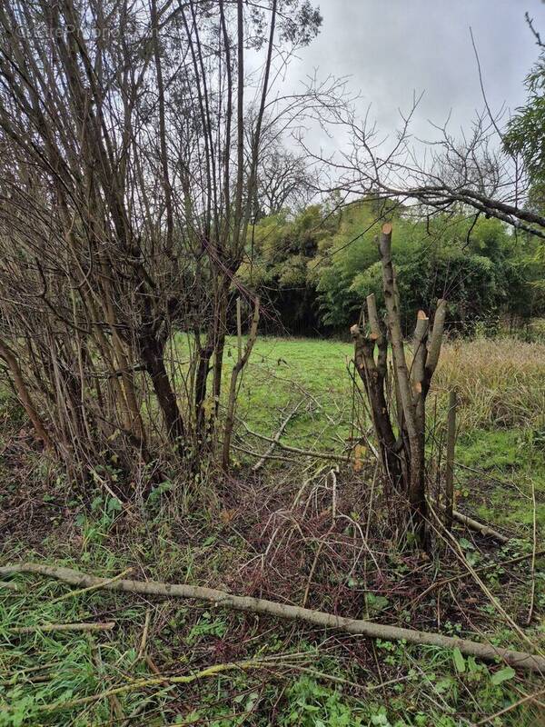 Terrain à ANGOULEME