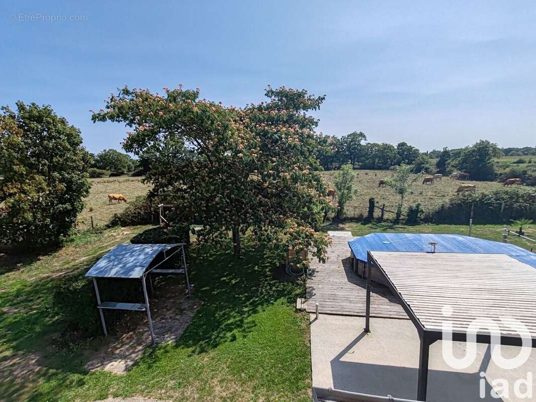 Photo 4 - Maison à LA CHAPELLE-LAUNAY