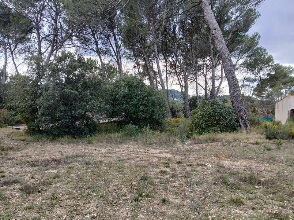 Terrain à VENTABREN