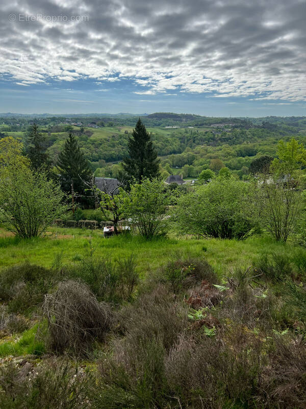 Terrain à BRIVE-LA-GAILLARDE