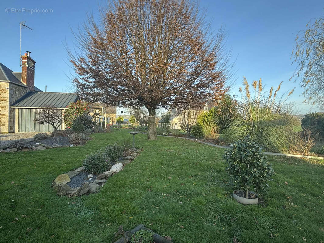 Maison à JUVIGNY-LE-TERTRE