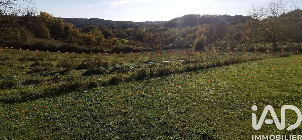 Photo 5 - Terrain à BEAUREGARD-DE-TERRASSON