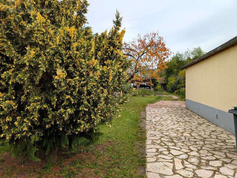 Maison à VITRY-AUX-LOGES