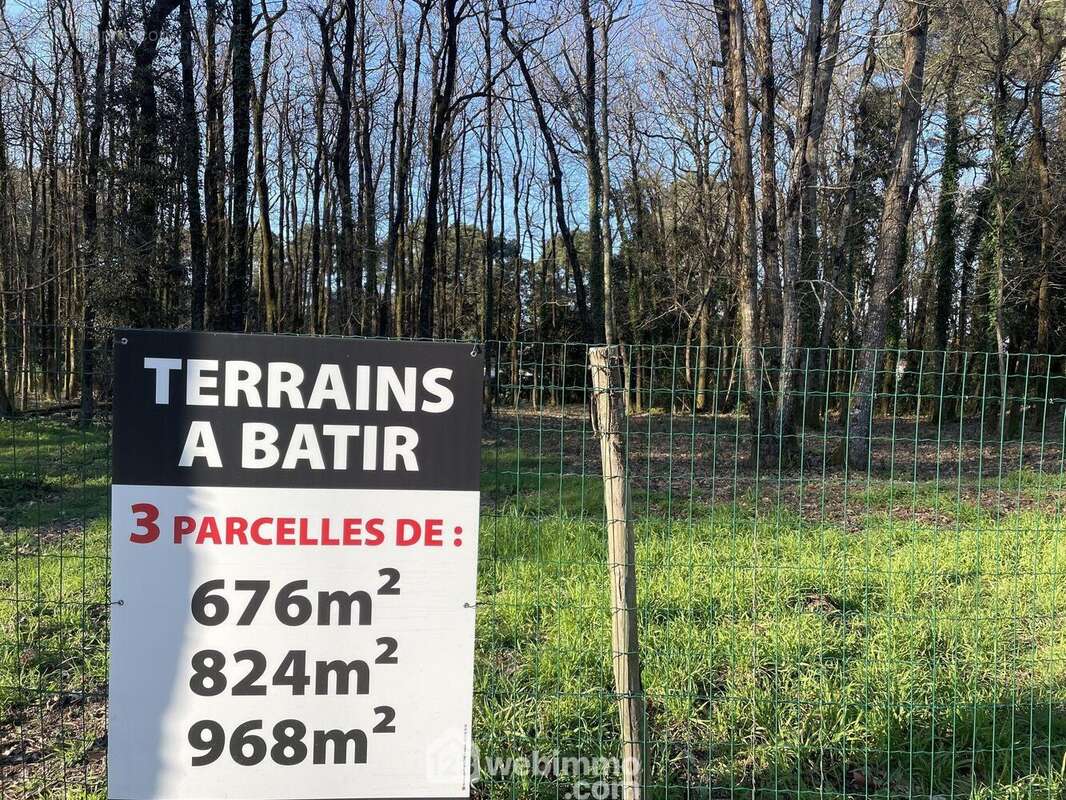 Beau terrain forestier au calme des pins.