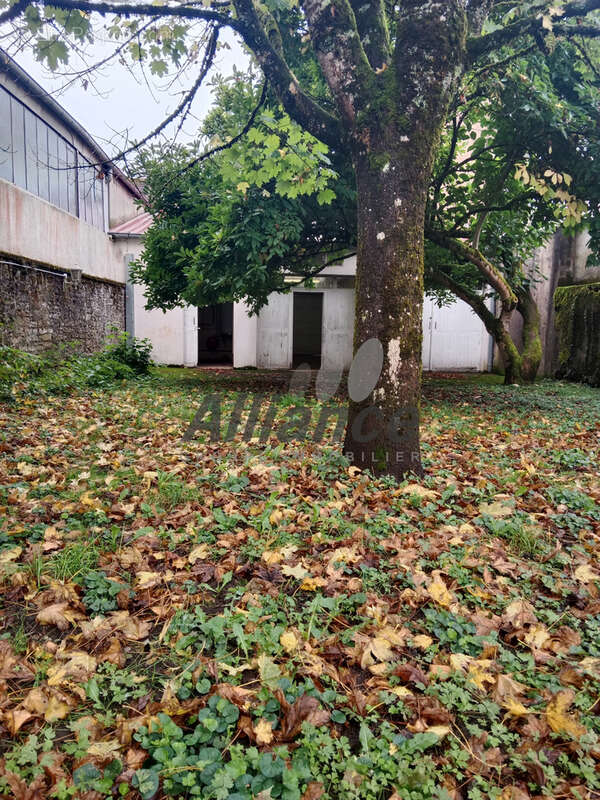 Maison à LUXEUIL-LES-BAINS