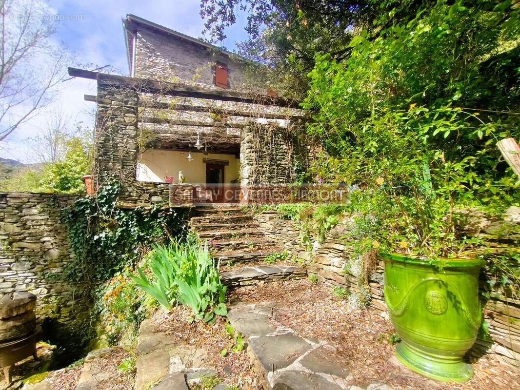 Maison à SAINT-ANDRE-DE-VALBORGNE